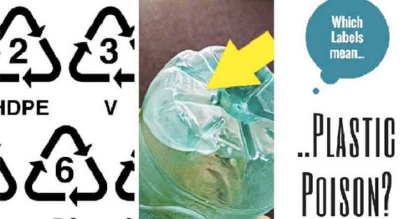 Do NOT Buy Until You Read These Best Water Bottle Reviews