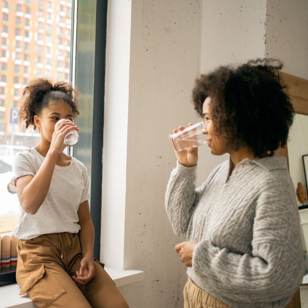 Softpro vs Springwell: Whole Home Filters Edition